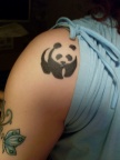 2008 Panda